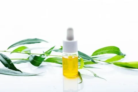 تصویر 1 از خرید روغن گیاهی درخت چای + بهترین قیمت